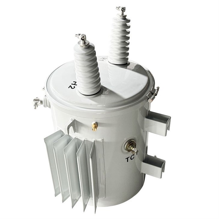 50 KVA Transformer Power Line-13.8/0.12*0.24 KV | Guyana 2024 factory