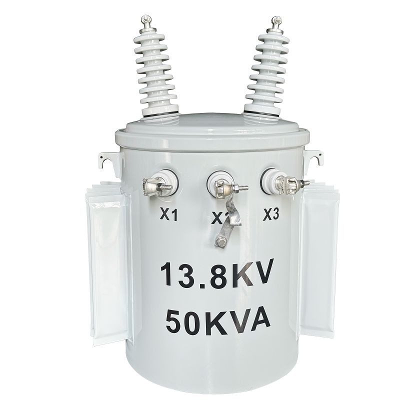 50 kVA transformatorski daljnovod-13,8/0,12*0,24 kV|Gvajana 2024